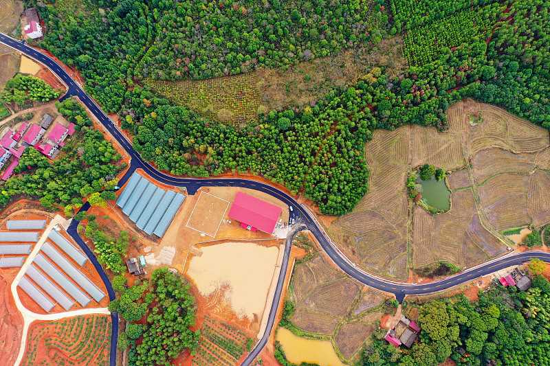 शी चिनफिंग ने ग्रामीण सड़कों के निर्माण को बेहतर बनाने पर महत्वपूर्ण निर्देश जारी किए